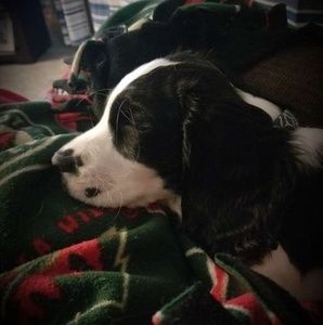 Meet your Posher, Leonda